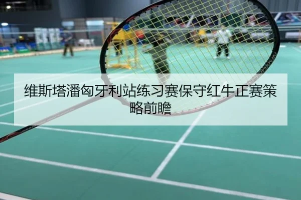维斯塔潘匈牙利站练习赛保守红牛正赛策略前瞻